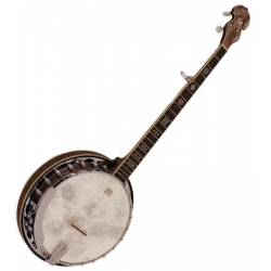 Barnes & Mullins - BJ500 5 String Banjo